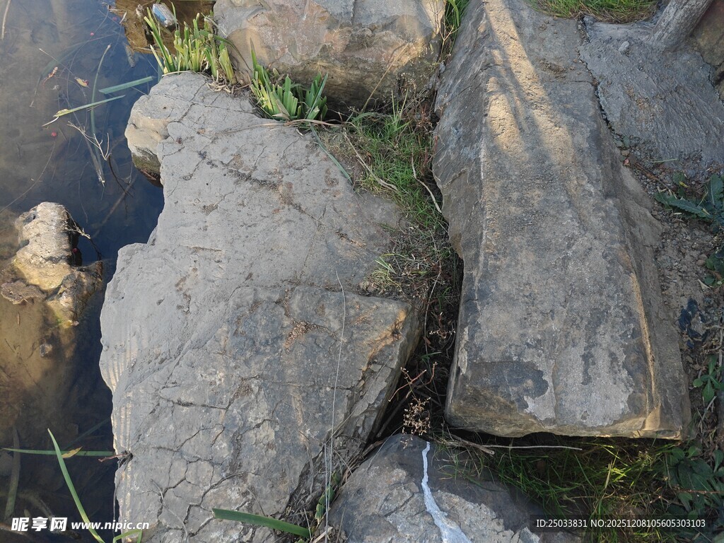 河边岩石与杂草景观