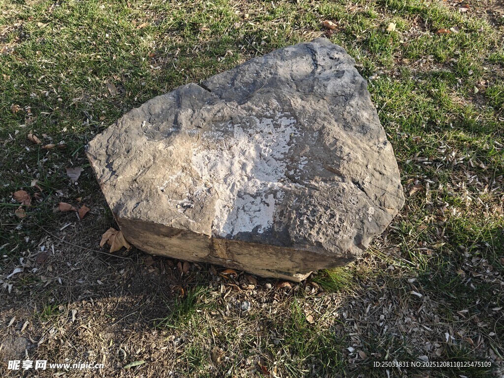 草地上的大石头