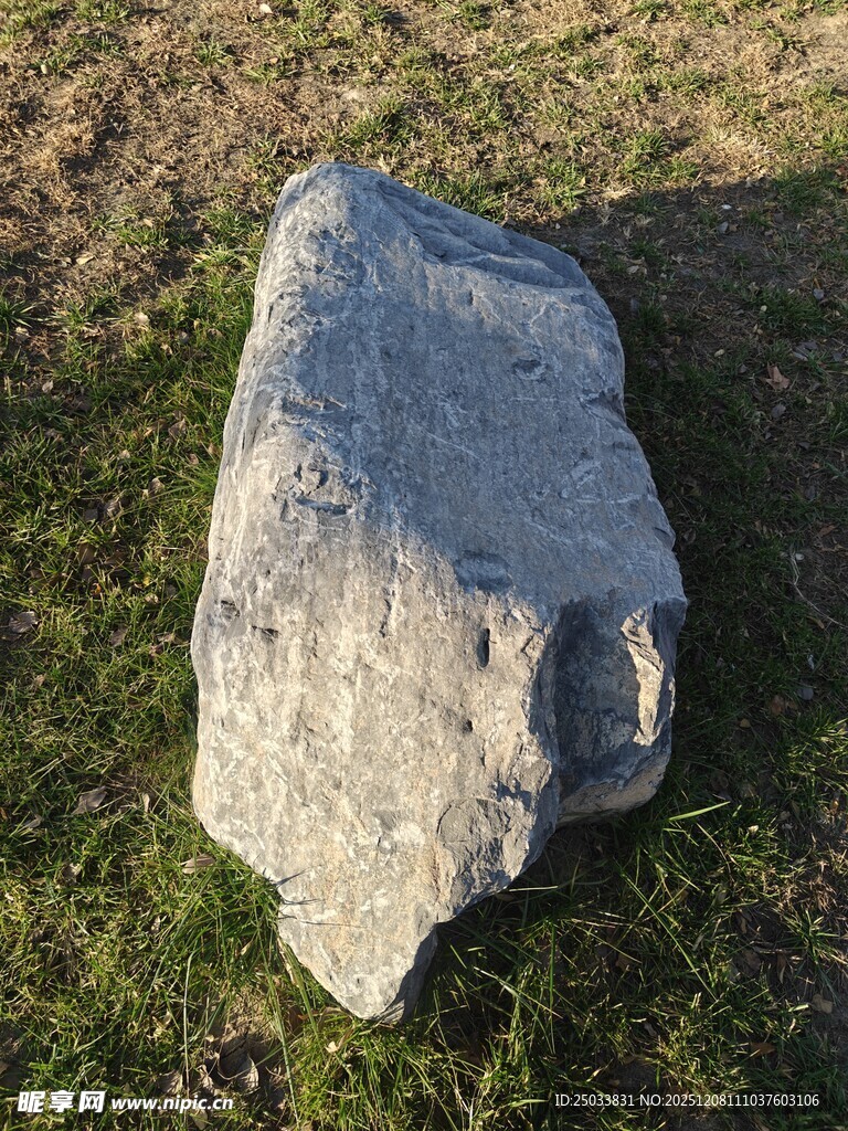 草地上的灰色大石头