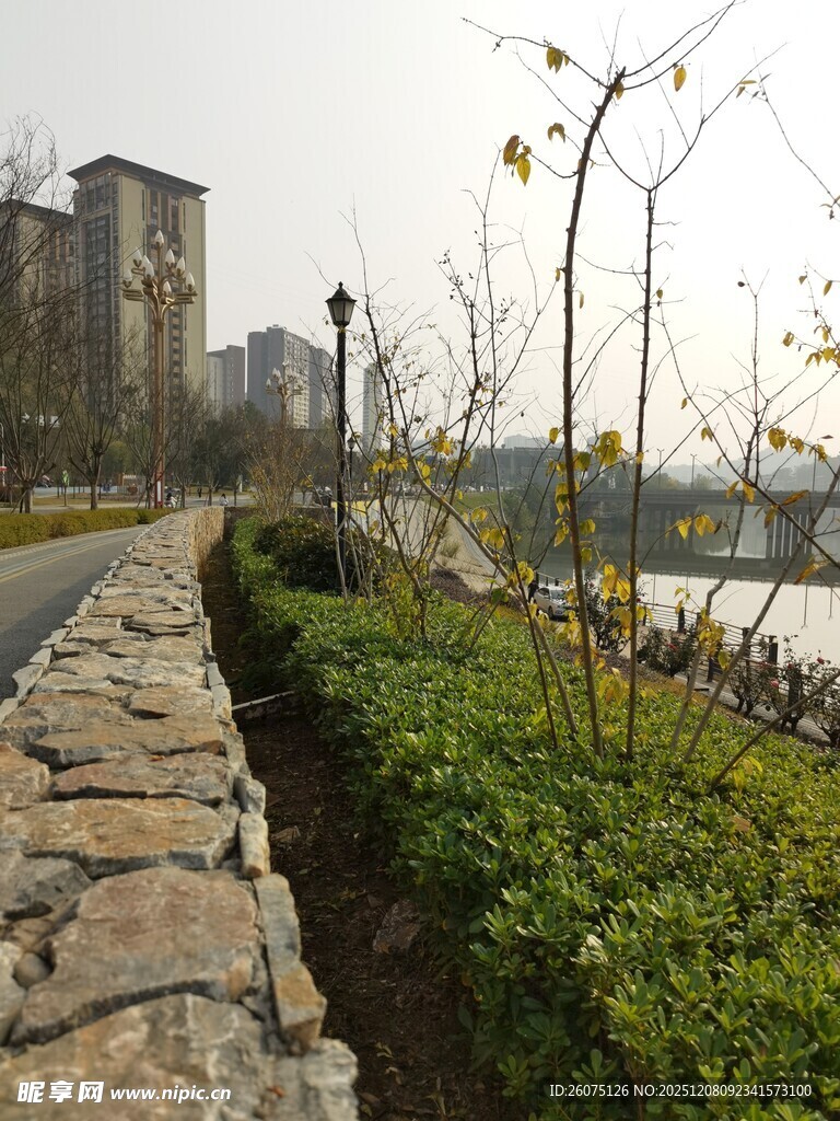 河畔石径绿植景观