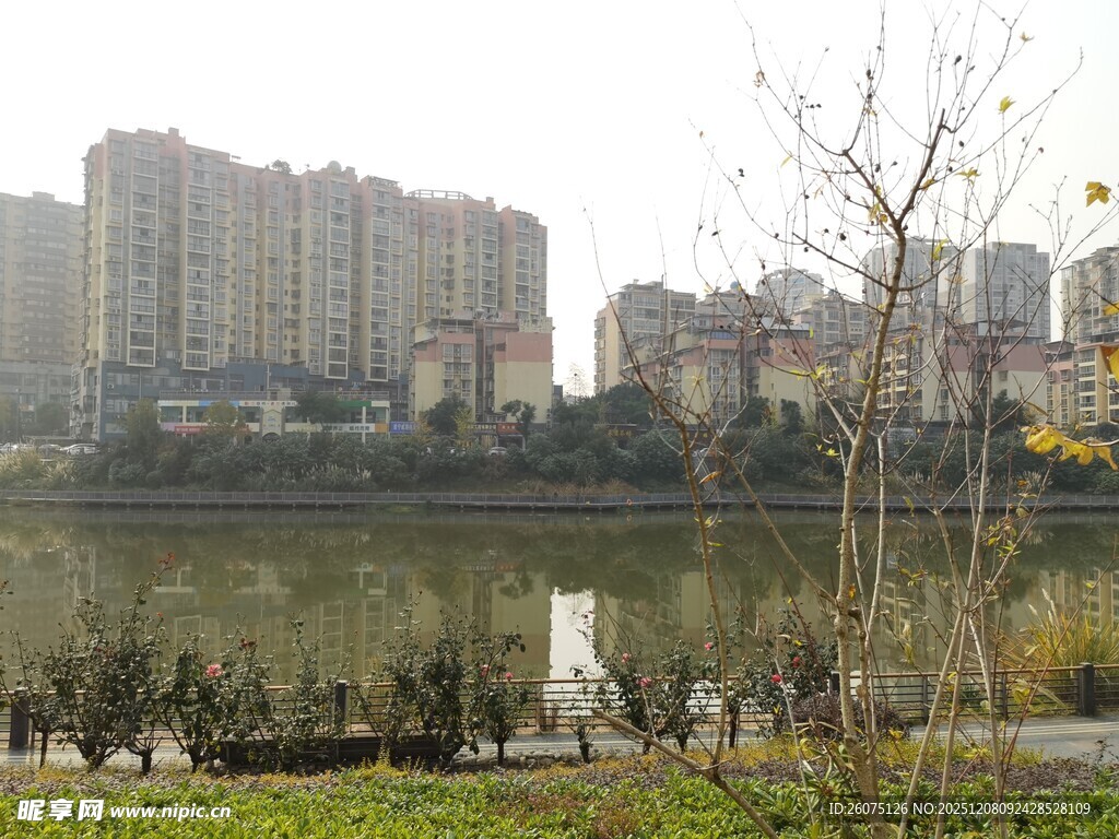 城市河畔风景