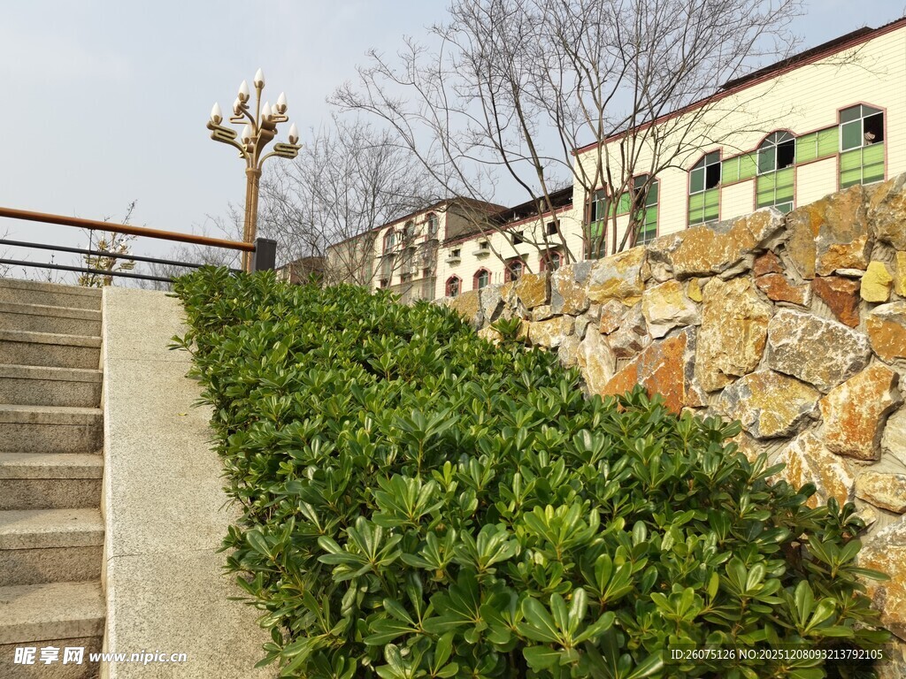 石墙边的绿植与阶梯