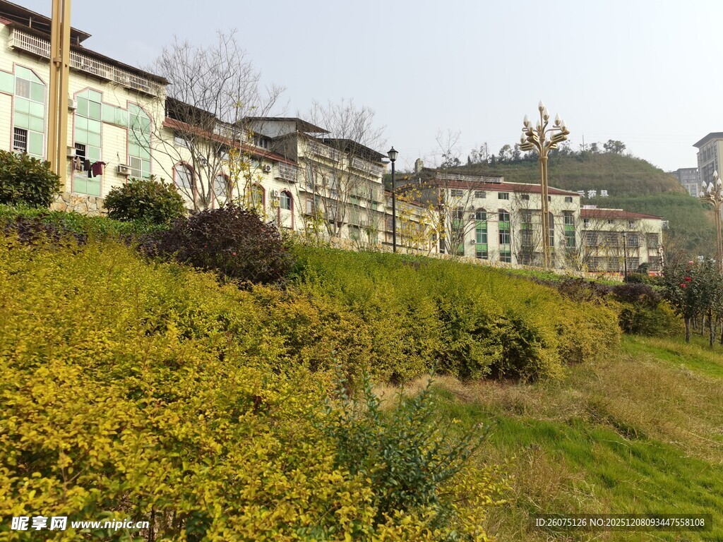 山坡旁的中式建筑群