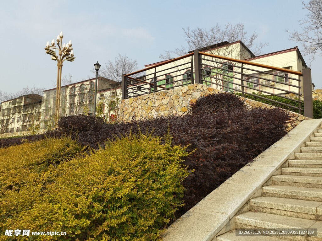 山坡上的建筑与绿植景观