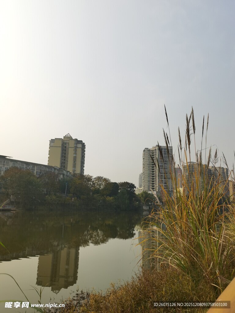 河畔城市风光