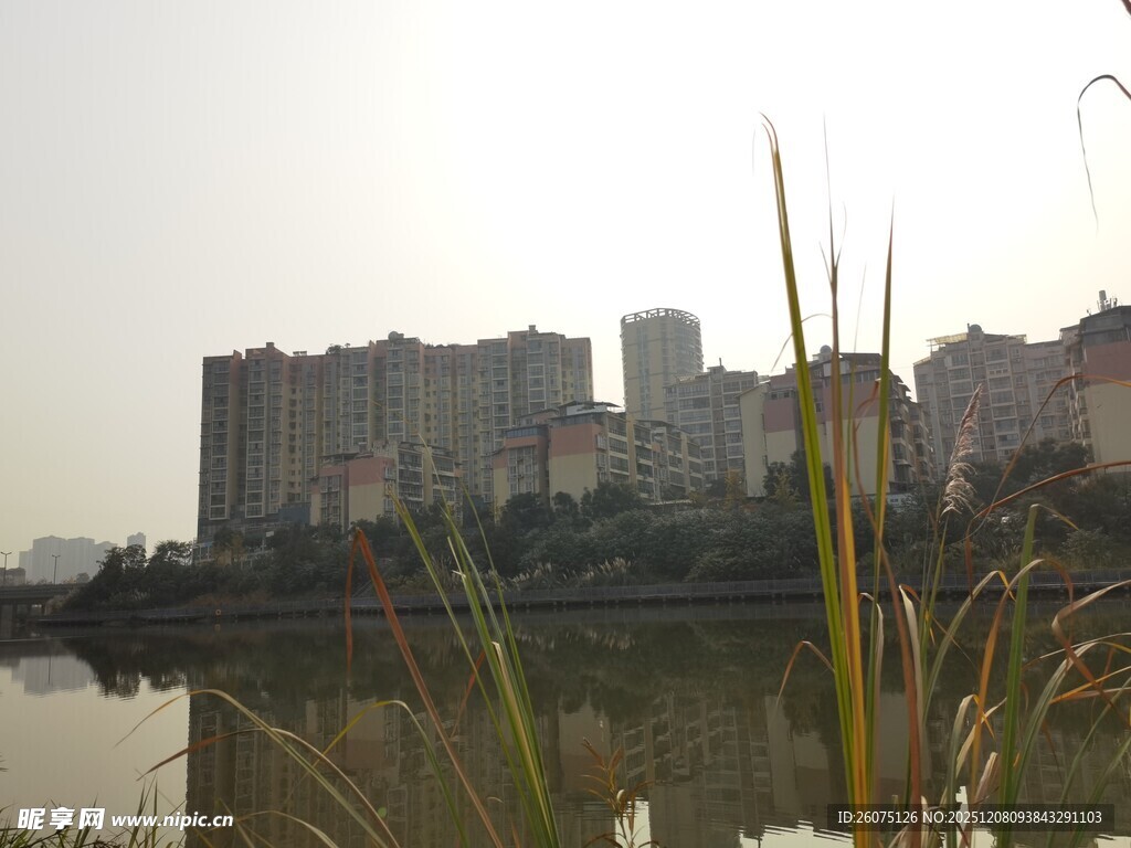 湖畔城市建筑景观