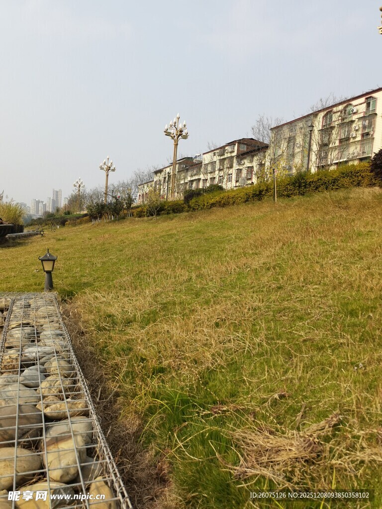 城郊草地旁的建筑景观