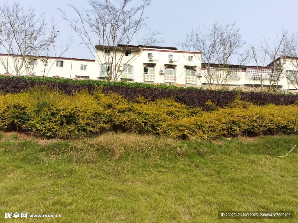 田园旁的白墙建筑与绿植