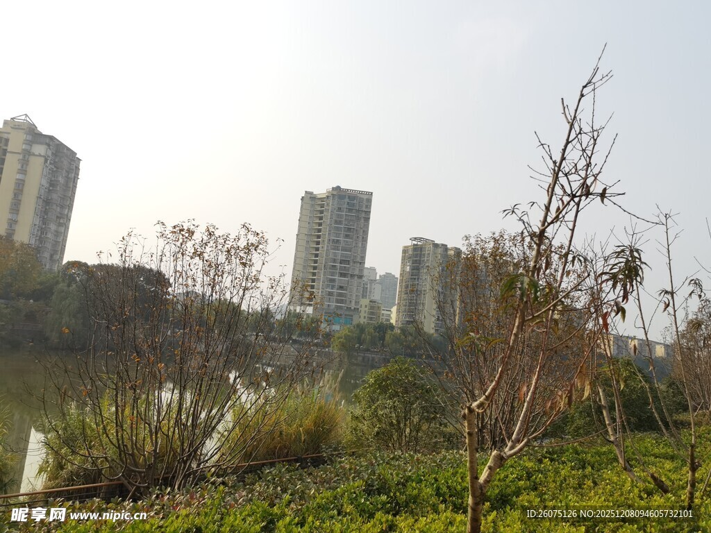 城市河畔绿植景观