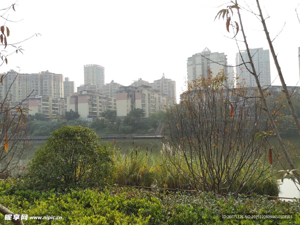 城市边的绿植与建筑景观