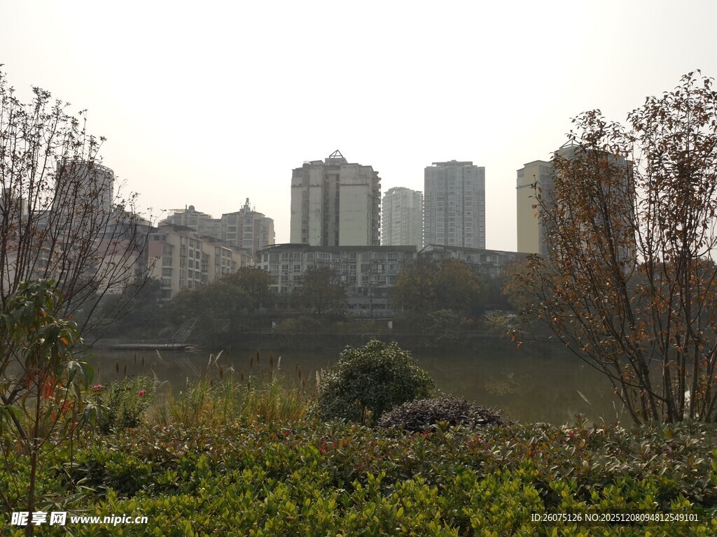 城郊高楼与绿植景观