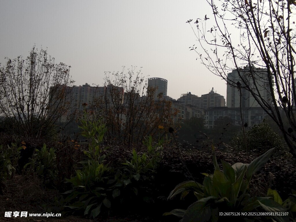 城郊植被与远处建筑景观