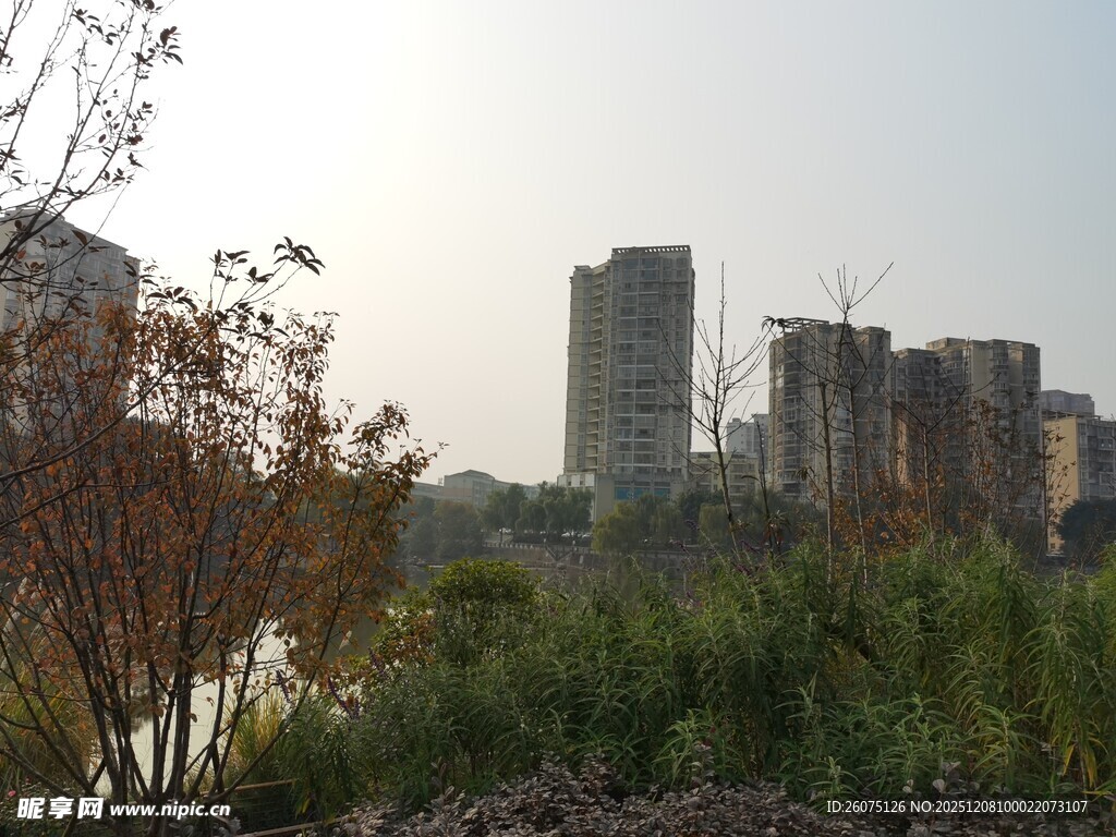 城郊风景高楼与绿植相映