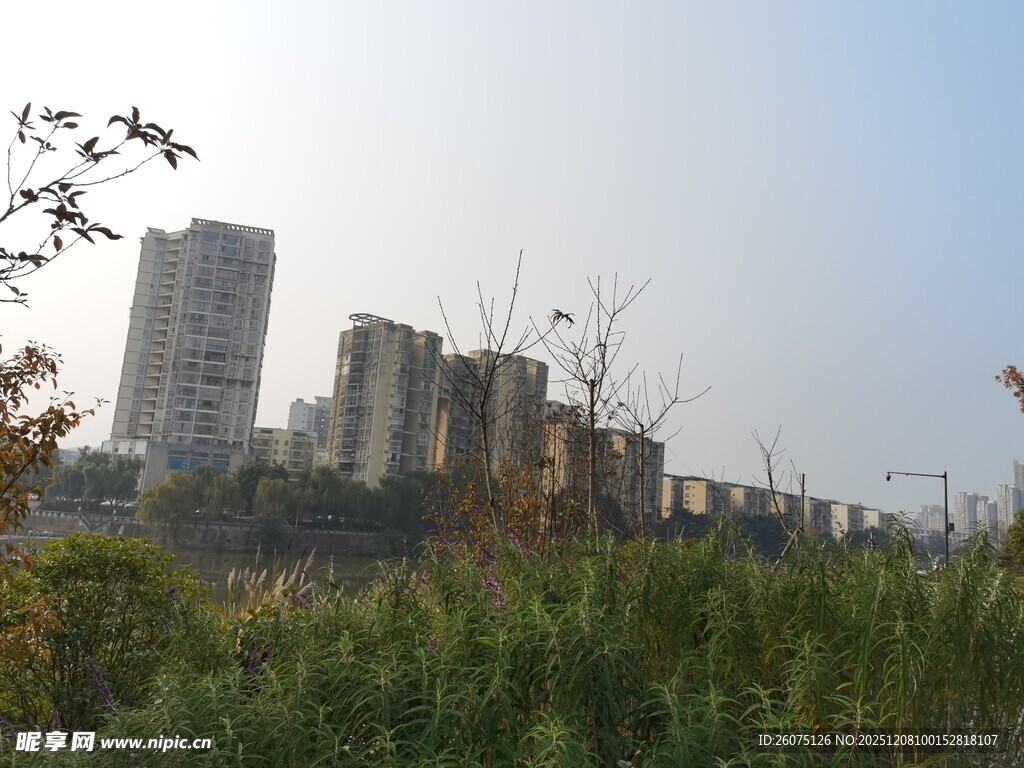 城郊绿植与高楼景观