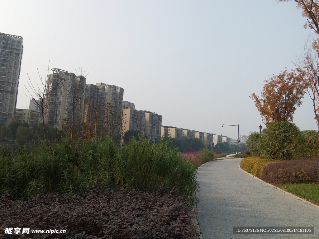 城市中的宁静步道景观