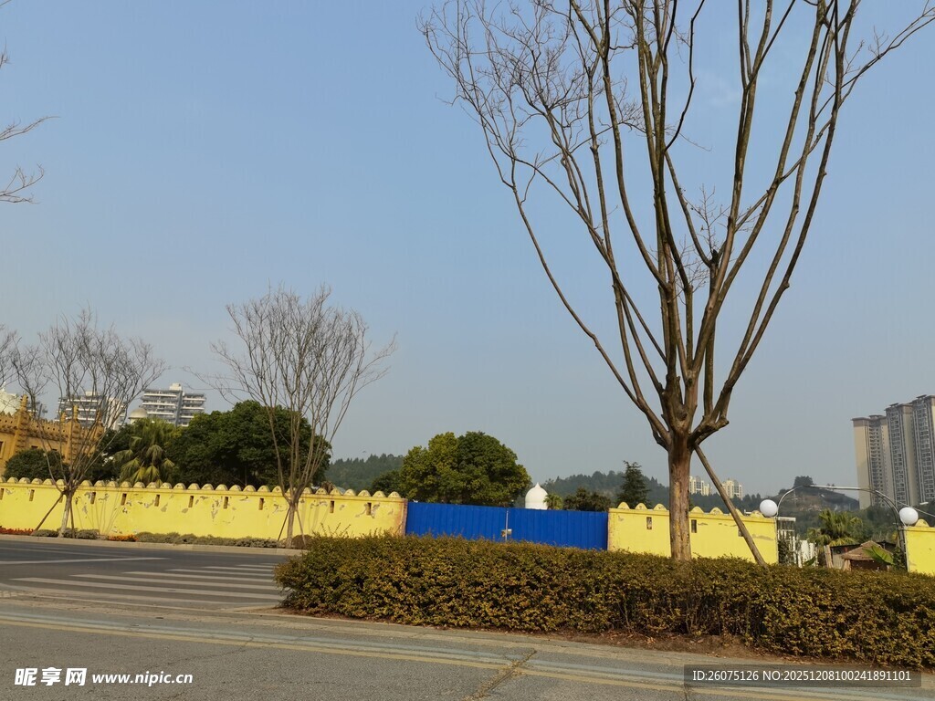 户外空旷场景与树木建筑