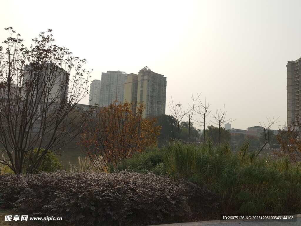 城市边缘的草木与高楼