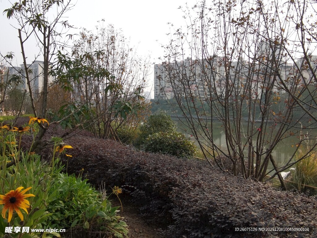 秋日花园小径景观