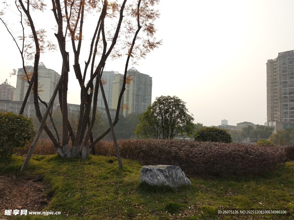 城市中的静谧绿植景观