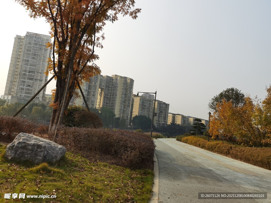 城市秋日公园小路风景