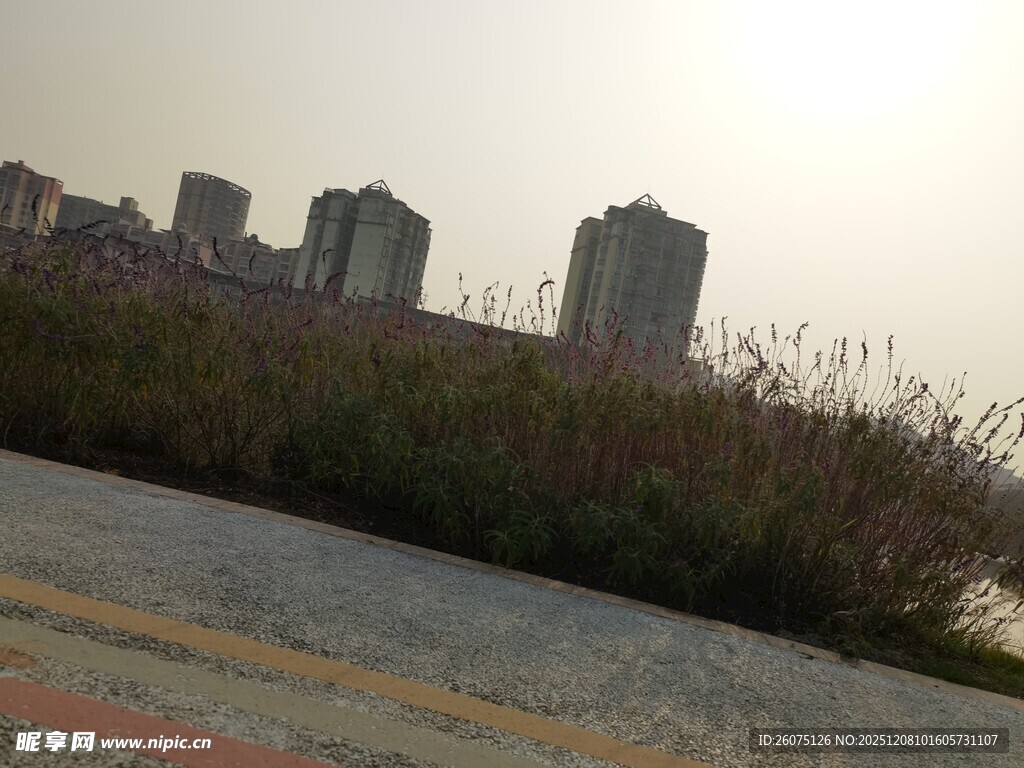 城市边缘的草地与高楼