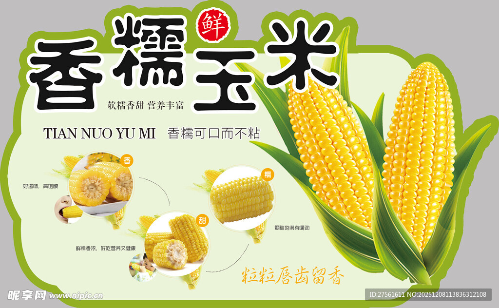香糯玉米 美味营养新选择