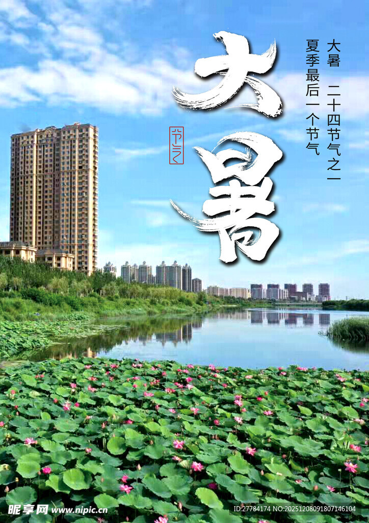 大暑时节荷塘畔城市风光