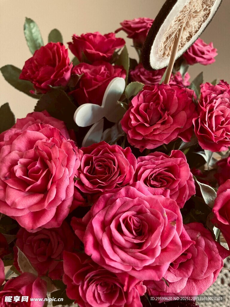 娇艳红玫瑰插花特写