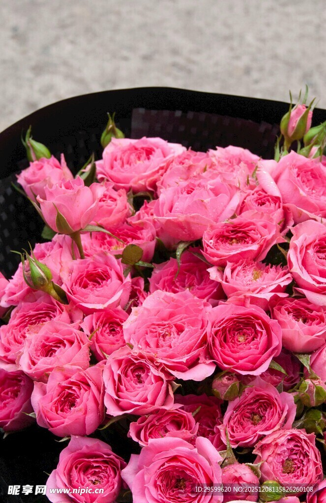 娇艳粉色玫瑰花束