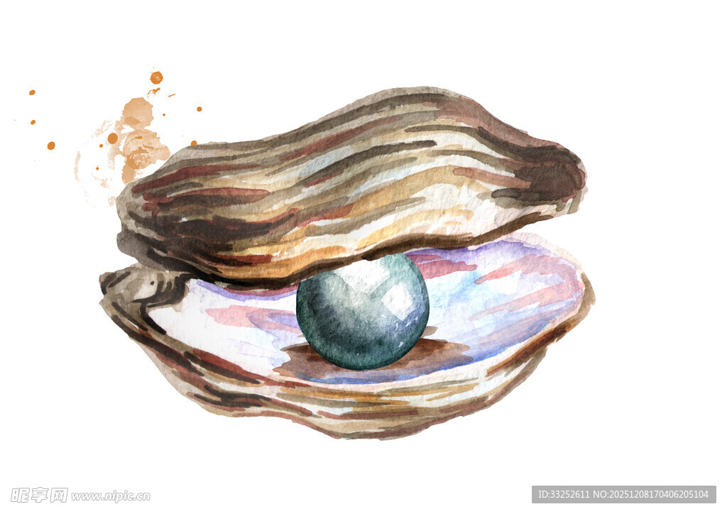 打开的牡蛎中闪耀的珍珠