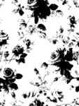 黑白玫瑰花纹图案