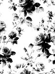 黑白玫瑰花卉图案