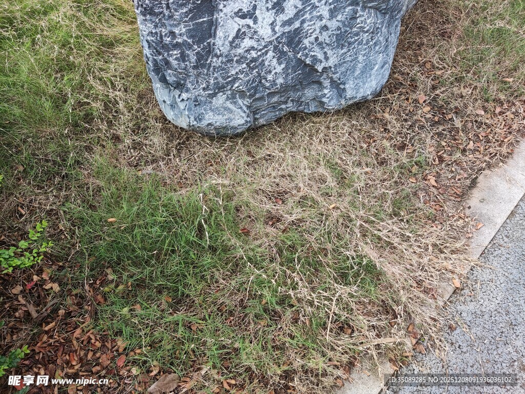 路边草地中的灰色石块