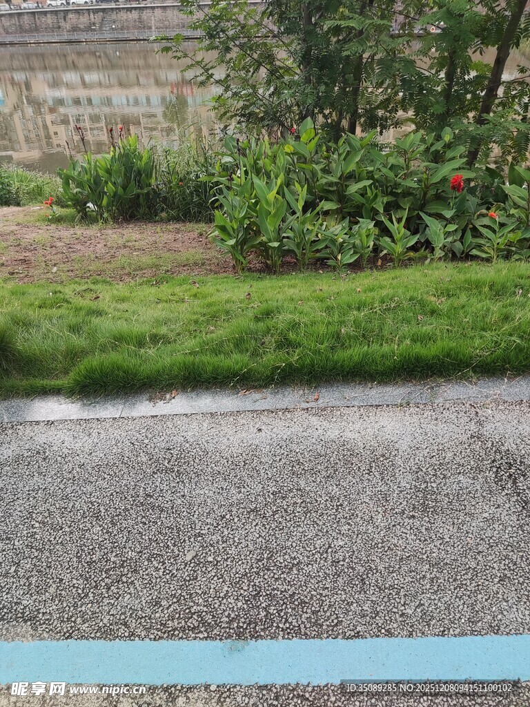 户外草地旁的碎石路面