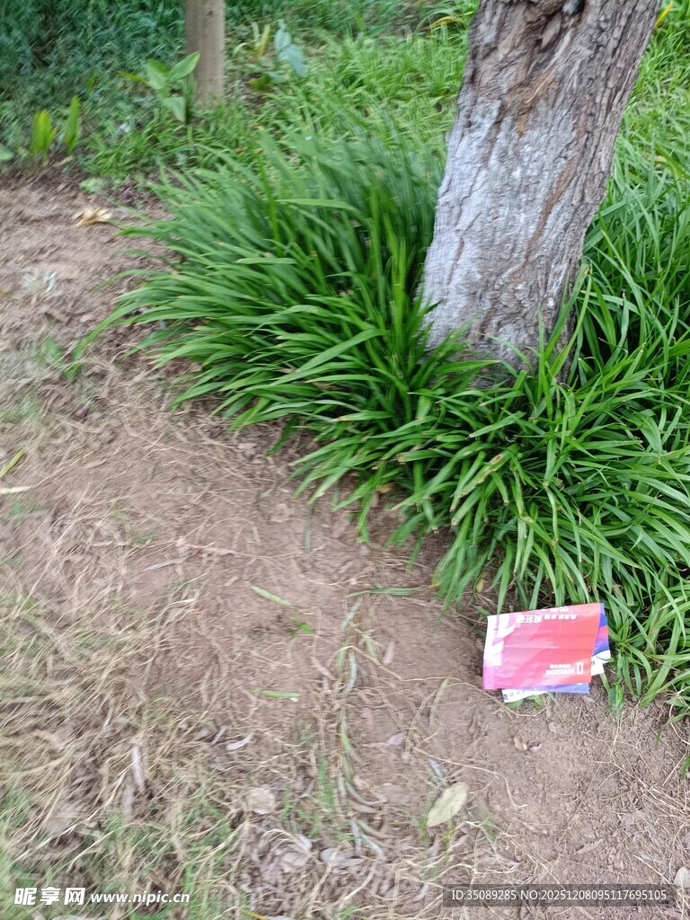 树下绿植旁的标识牌