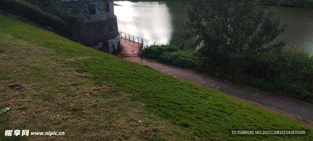 河边草地的静谧景象