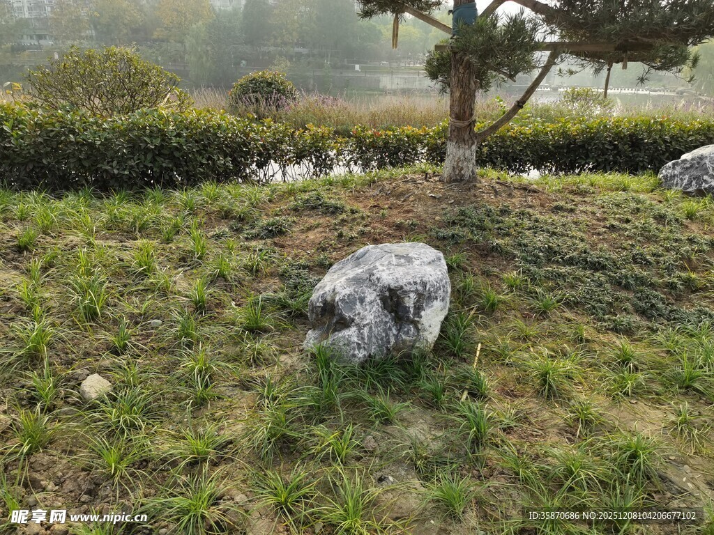 草地上的独特景观石