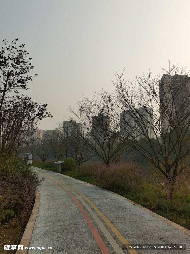 城郊空旷道路与稀疏树木