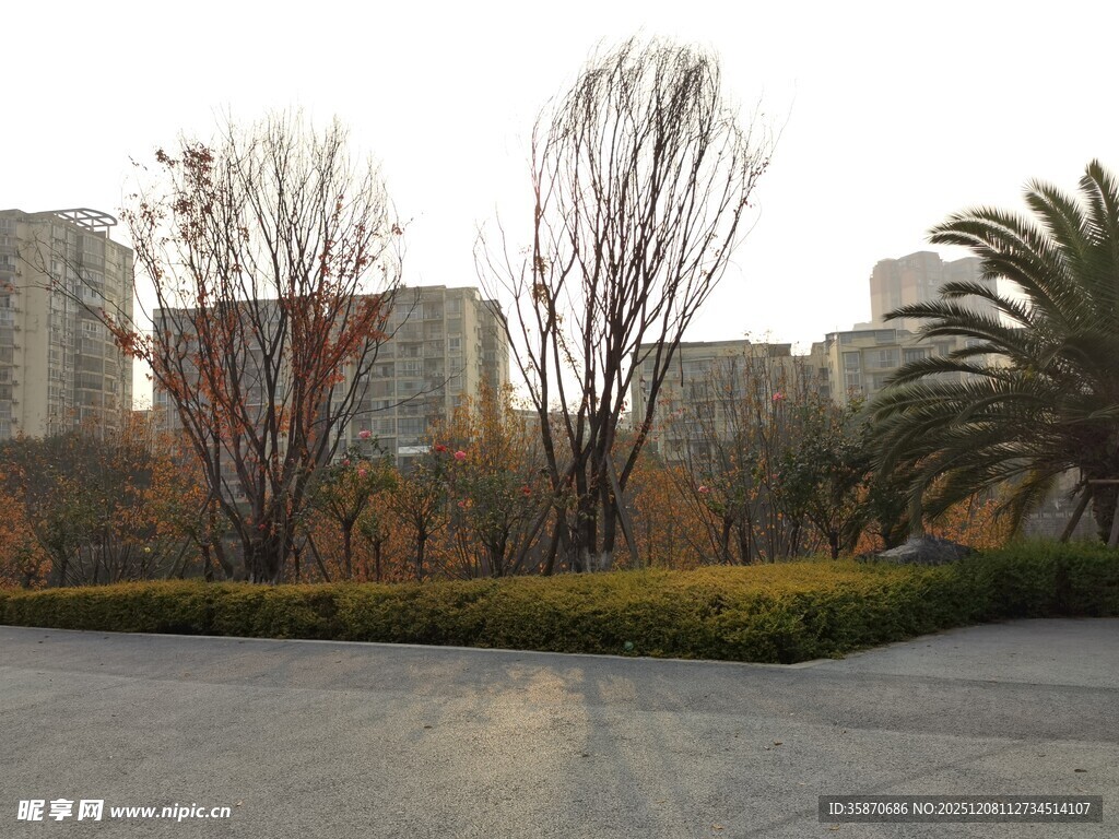 城市冬日公园景观