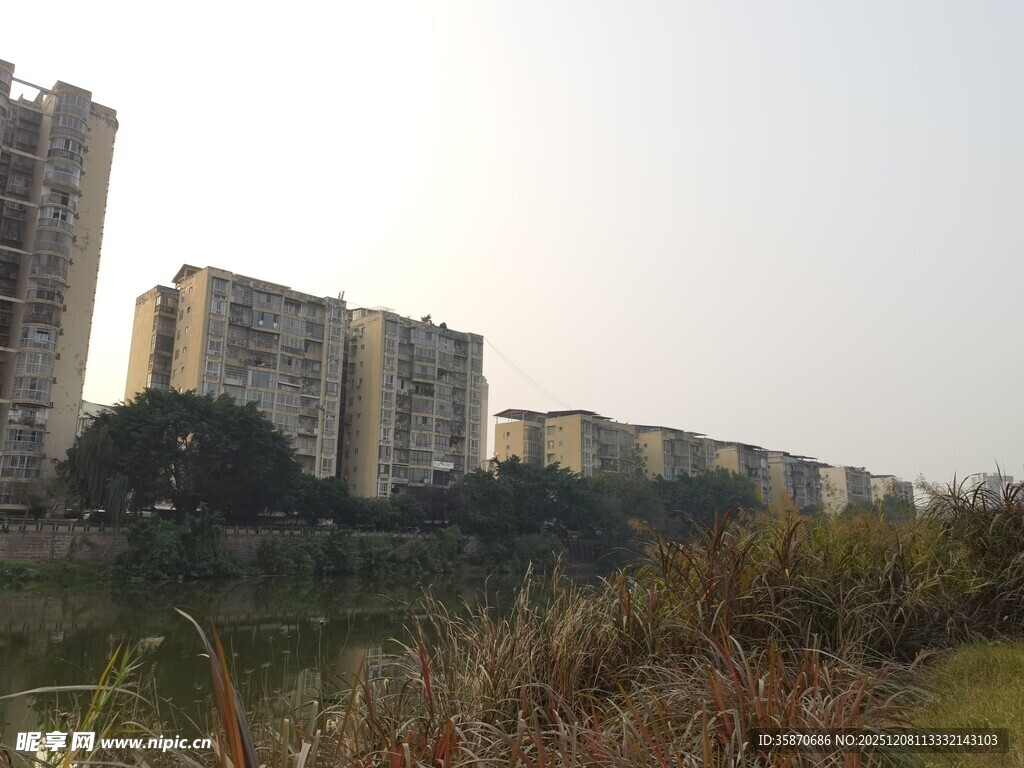 城郊住宅区景观