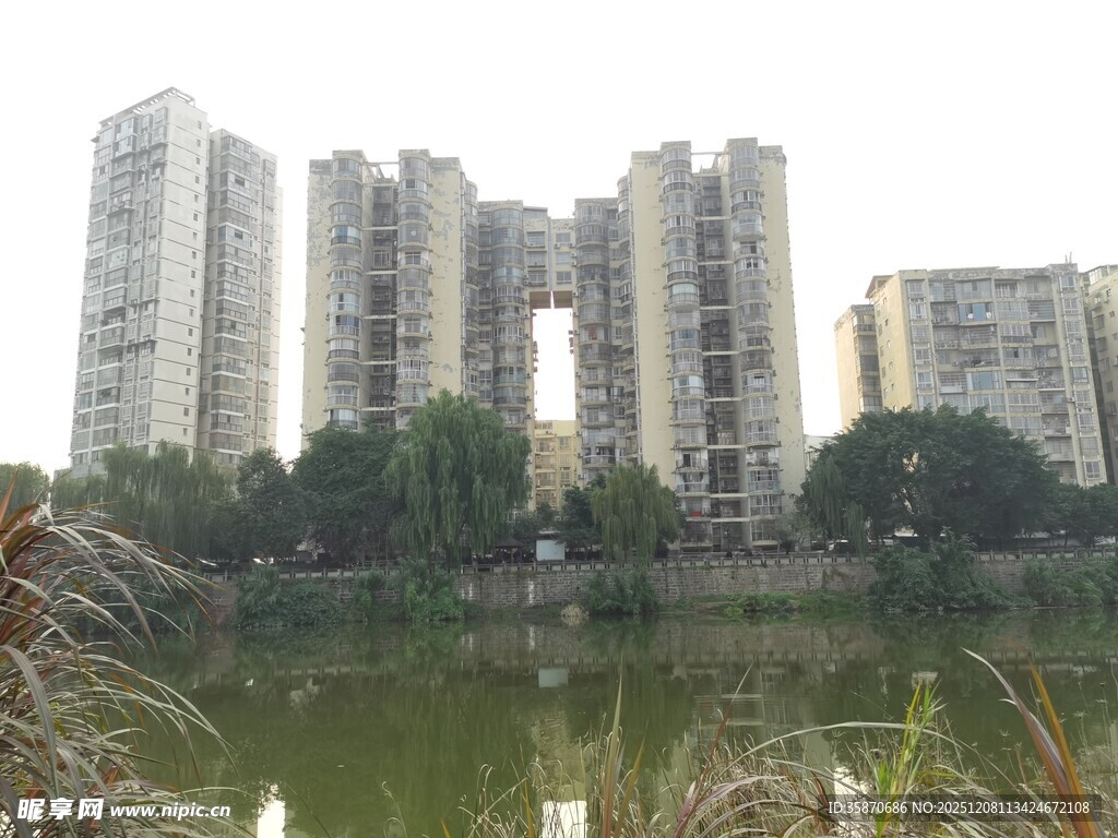 湖畔高楼林立的城市景致