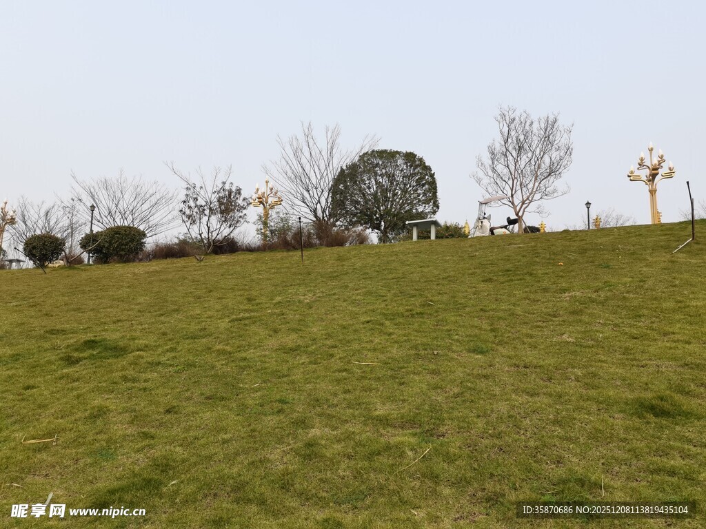 绿草如茵的开阔户外景致