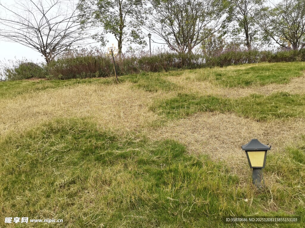 草地中的复古风庭院灯