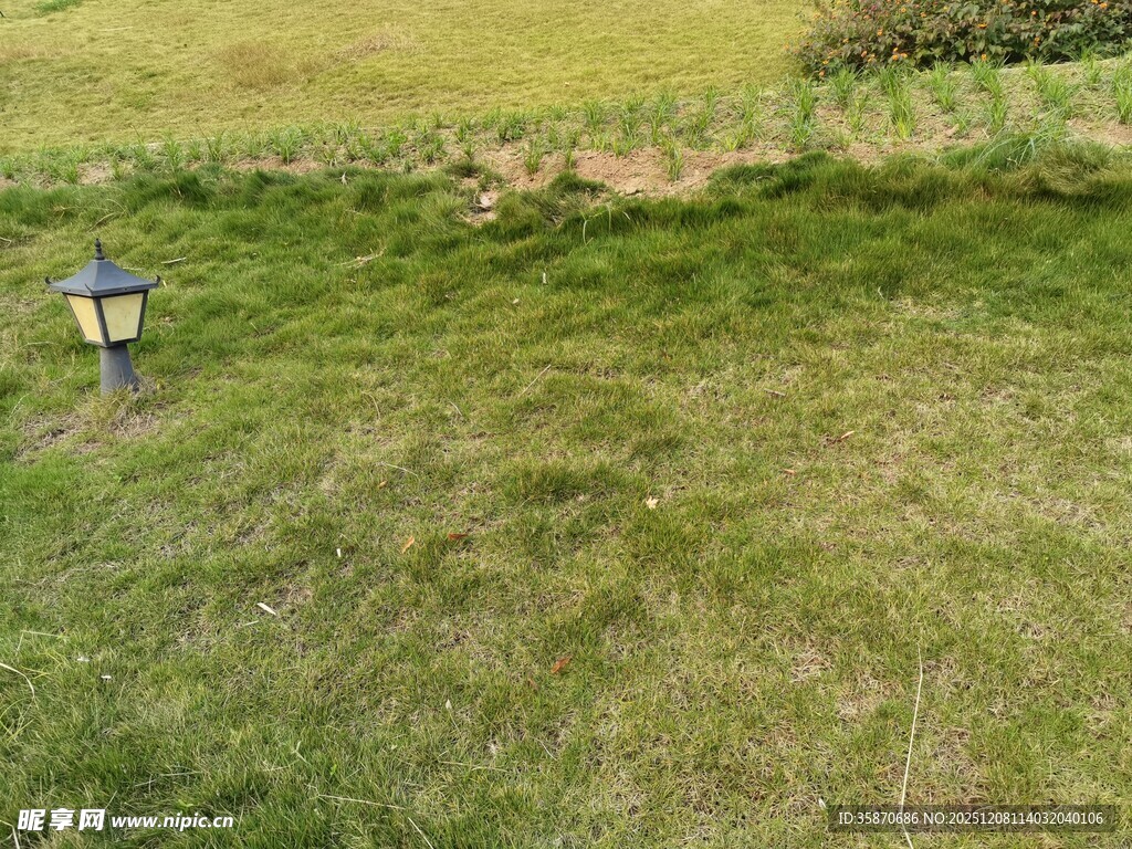 人在草地劳作场景