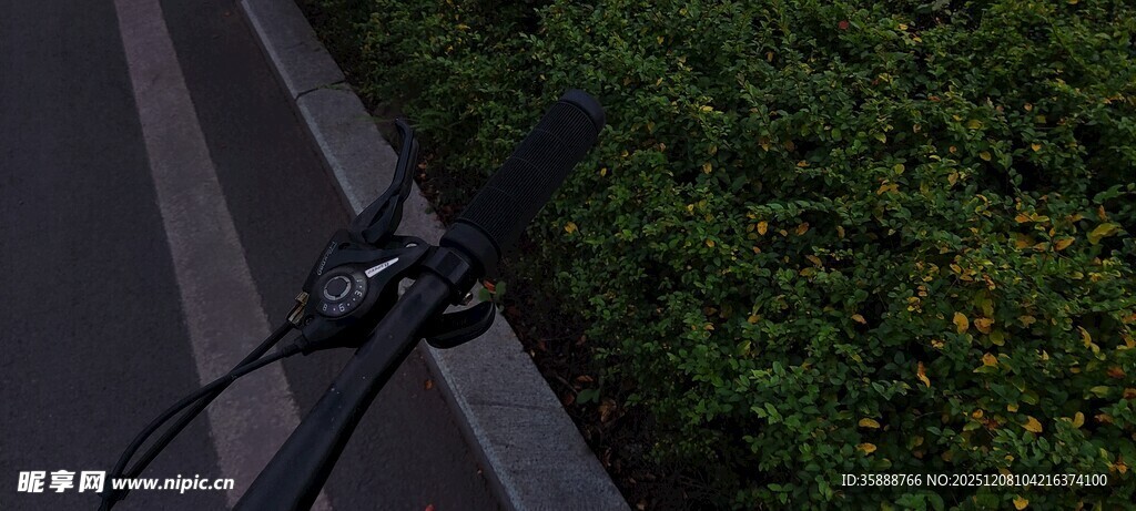 自行车把手与绿植景观