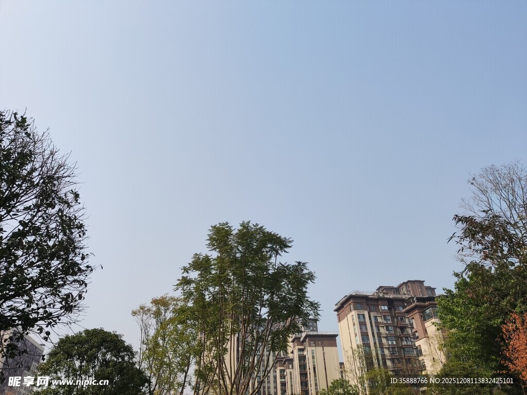 小区周边绿树与建筑景观