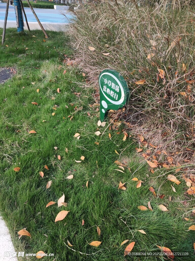 草地上的圆形标志