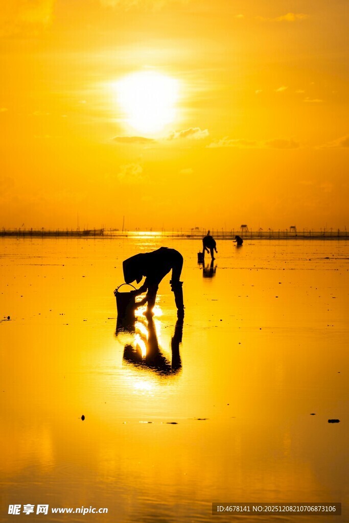 夕阳下舞者的唯美剪影