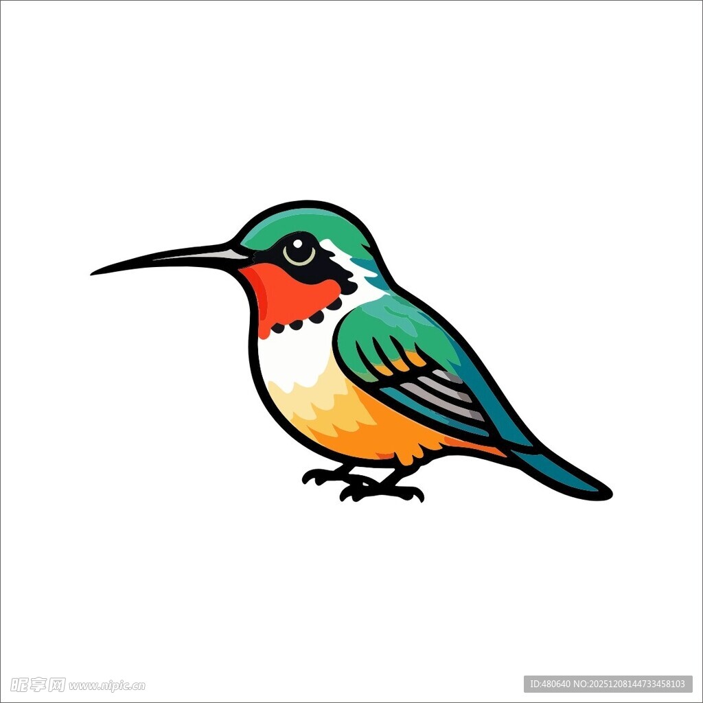 彩色蜂鸟插画
