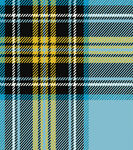 蓝底黄黑格子图案